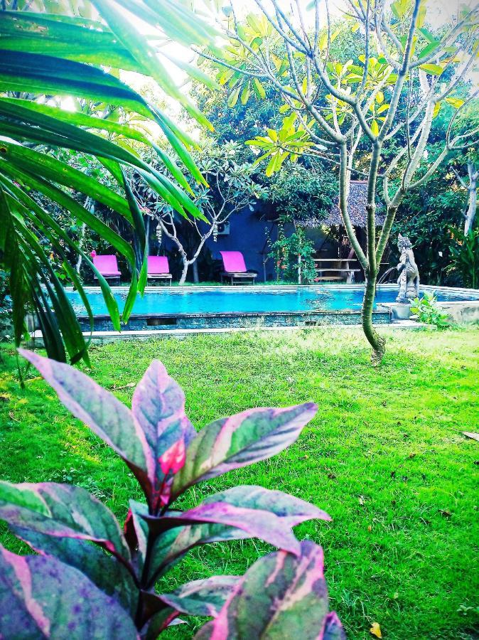 Guest house Mango Moon Pemuteran (Bali)
