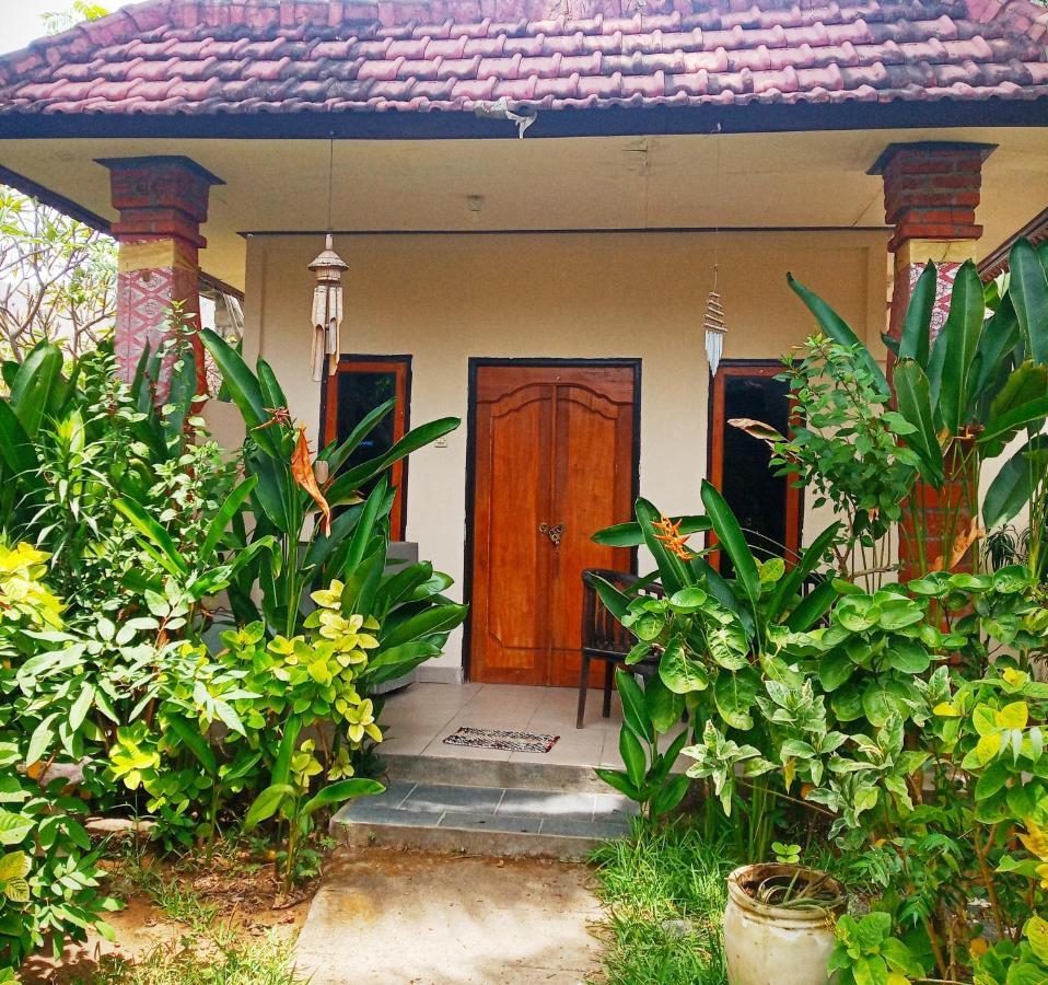 Guest house Mango Moon 2*