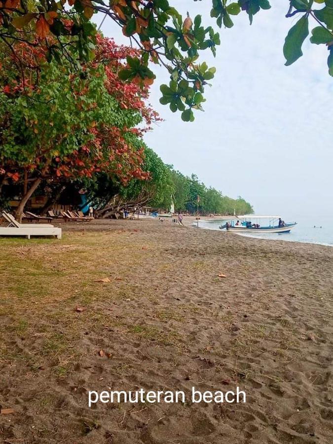 Mango Moon Guest house 2*