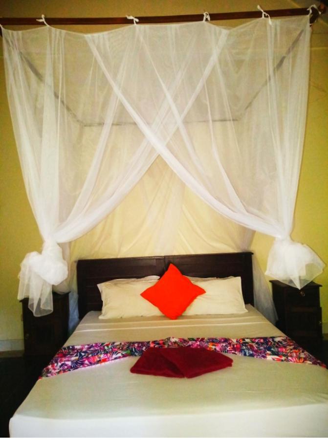 Guest house Mango Moon 2*