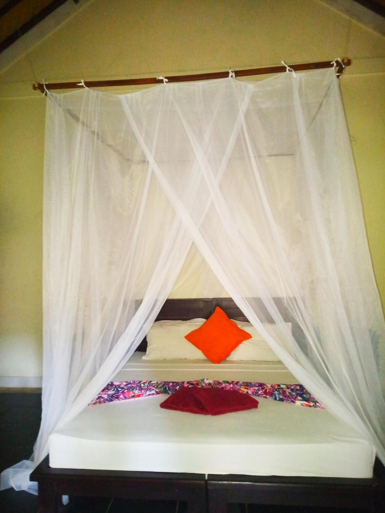 Mango Moon Guest house