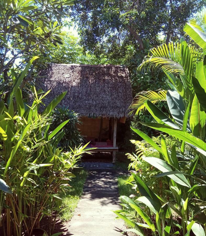 Guest house Mango Moon 2*