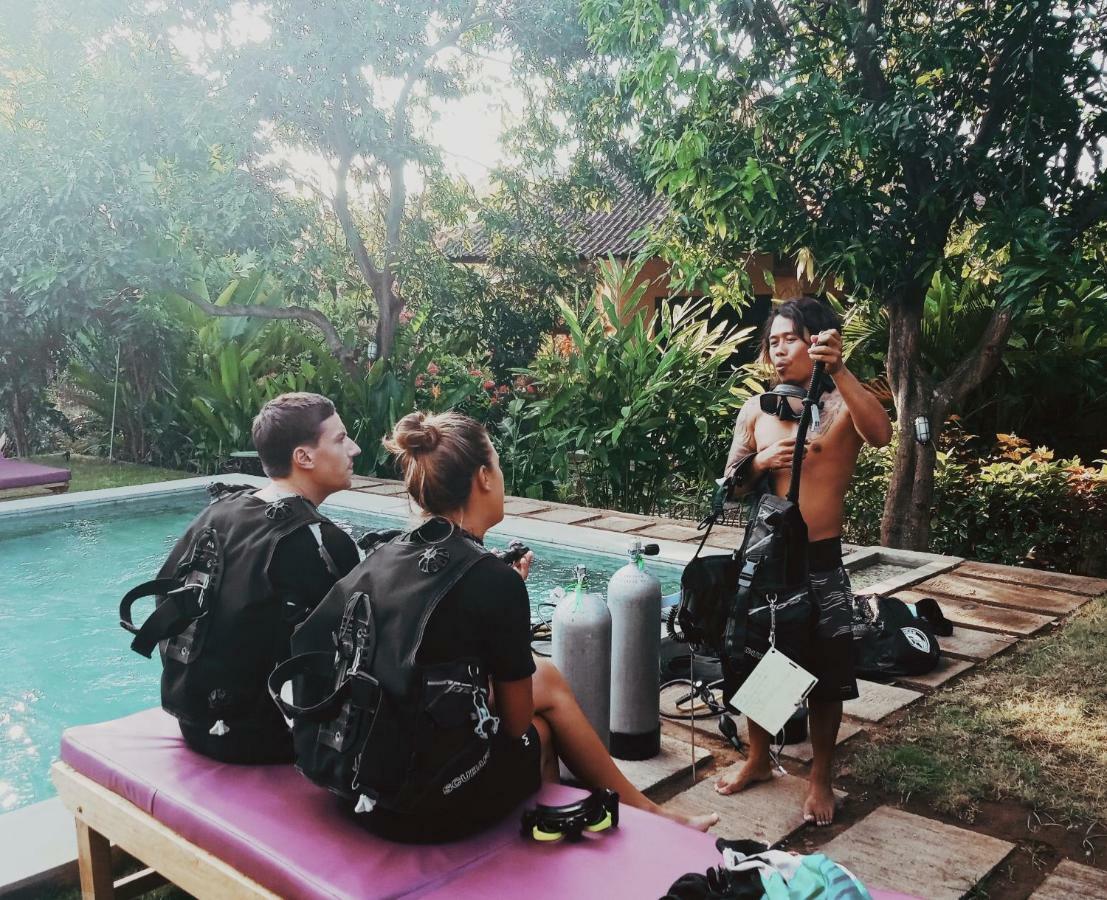 Guest house Mango Moon Pemuteran (Bali)